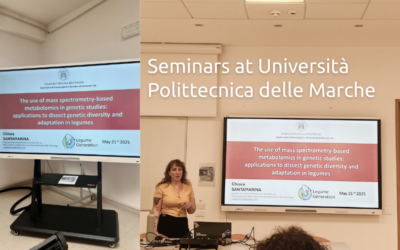 Seminars at Università Polittecnica delle Marche