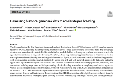 Harnessing historical genebank data to accelerate pea breeding