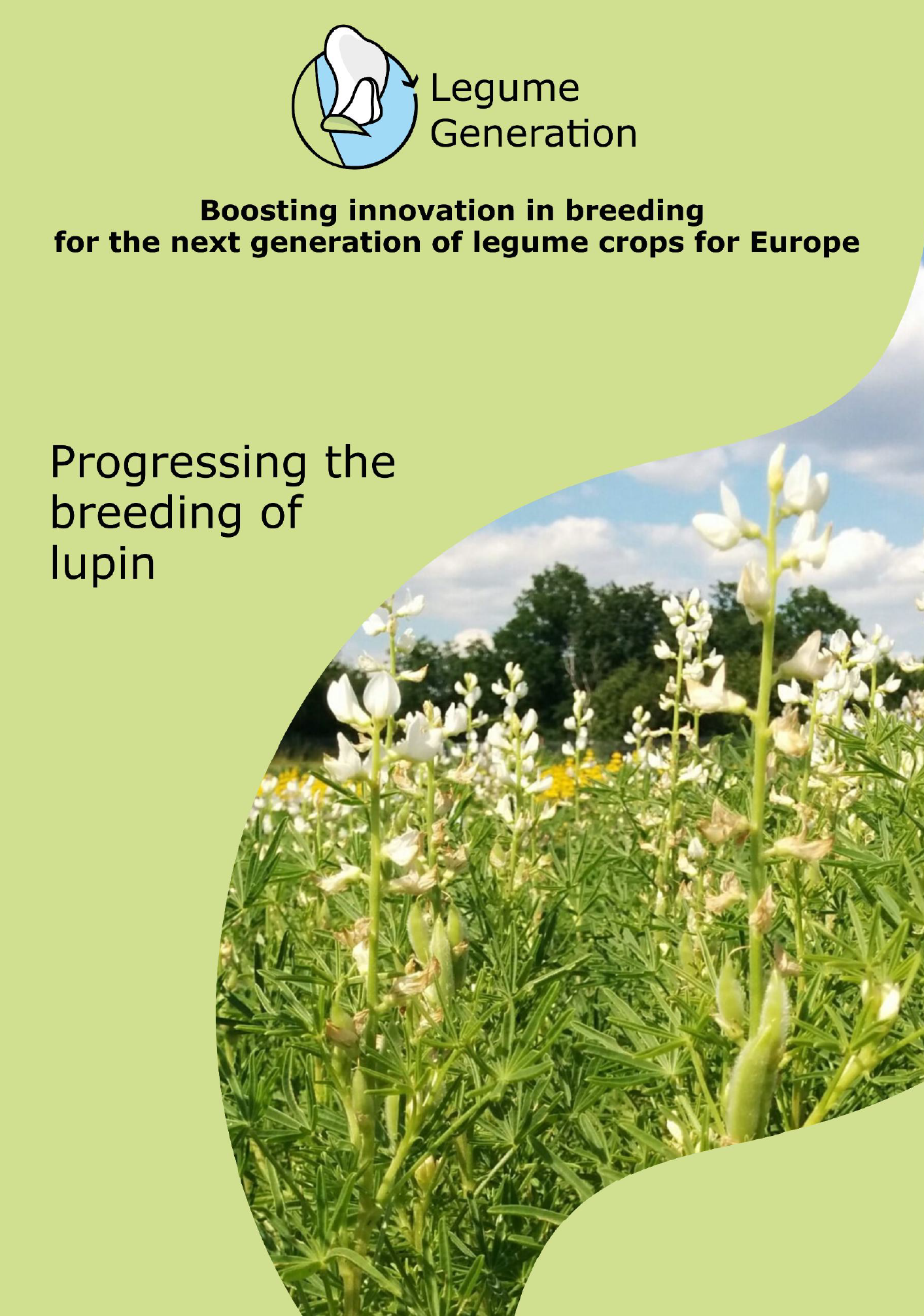 CoverImage_LG Report 10