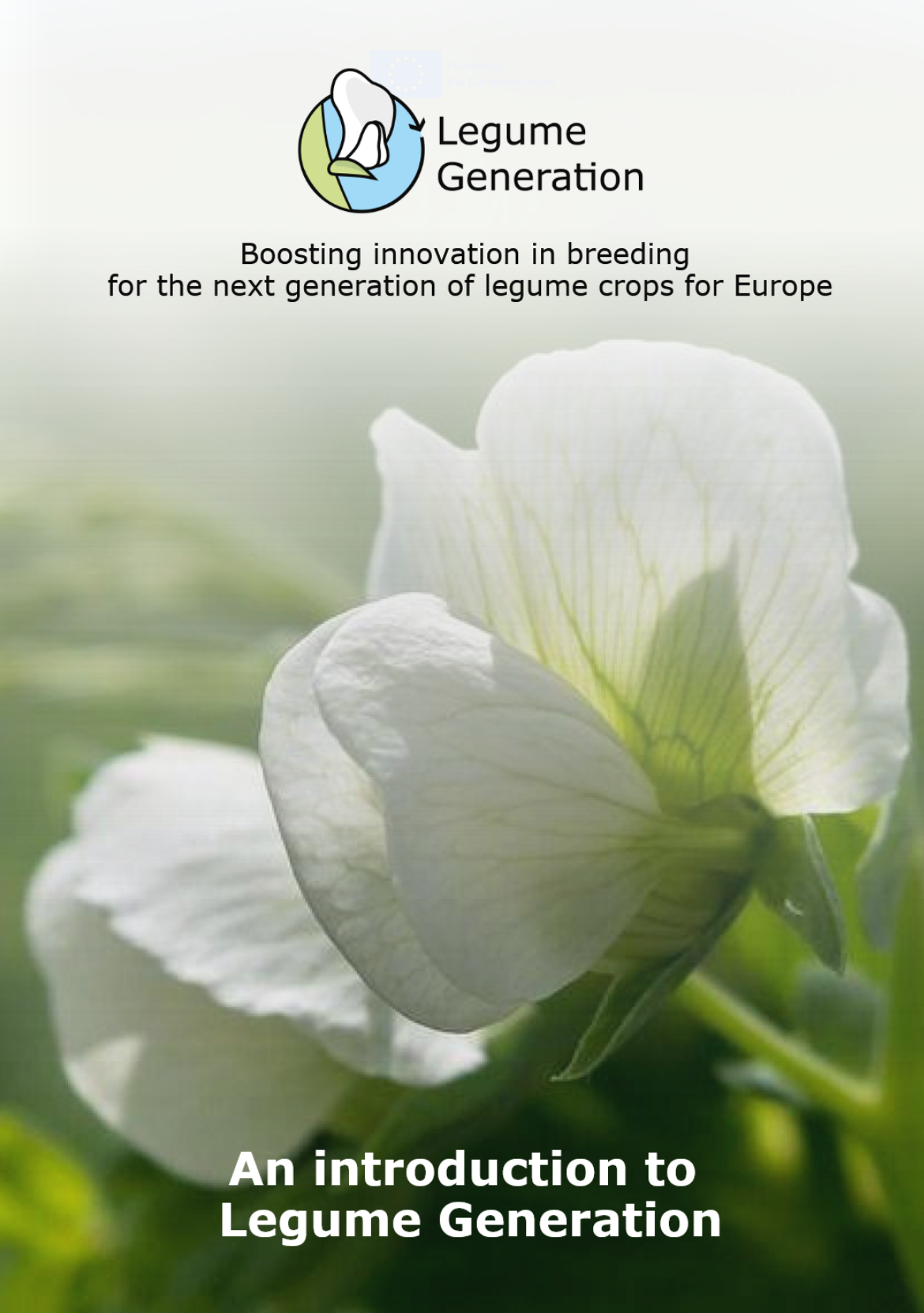 https://www.legumegeneration.eu/wp-content/uploads/2024/10/Legume-Generation-promotional-leaflet-trifold.pdf