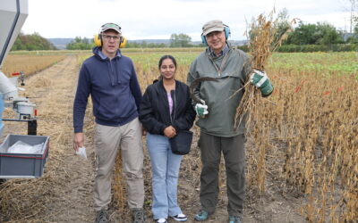 Soybean harvest at BOKU University